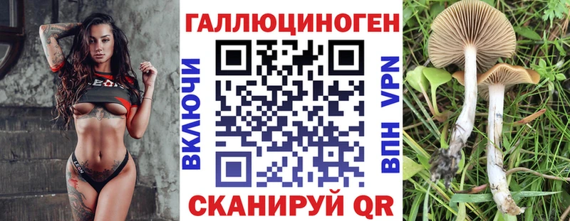 Псилоцибиновые грибы прущие грибы  Волжск 